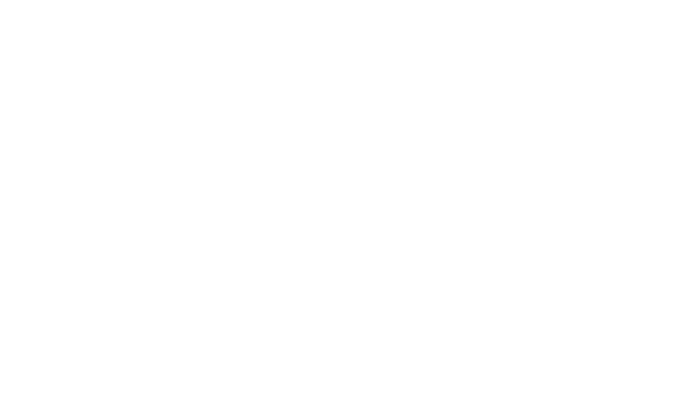 AeroVision Südbaden